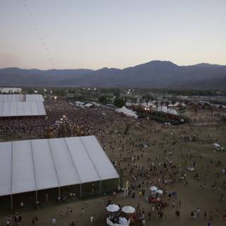 Sun-kissed Festival Crowd