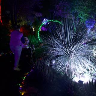 Enchanted Evening at the Garden of D’Lights