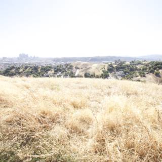 Majestic View of the City from the Grassland Hill