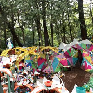 Colorful Tents in the Woodland