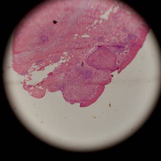 Pink Stain on Black Surface