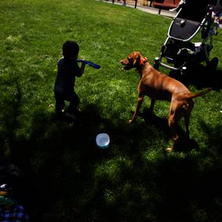 A Sunny Day at Delores Park: Boy's Best Friend Moment