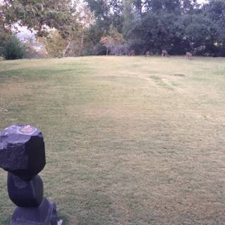 Lone Statue in a Verdant Field