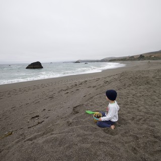 Child Gazes at the Pacific on a Misty Beach Day