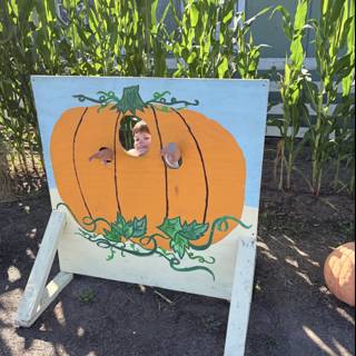 Pumpkin Patch Peekaboo