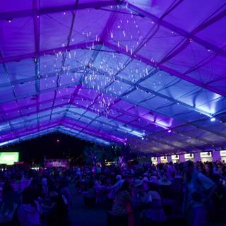 Enchanted Evening at Coachella 2024: A Glittering Gathering