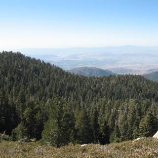 Majestic View of San Jacinto Mountain Range