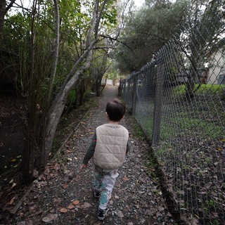 Young Child Walking Alone on Gravel Path