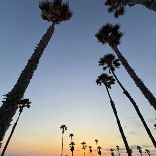 Evening Tranquility: Sunset at Oxnard Beach