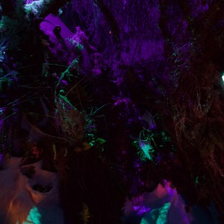 cave-cavern-tourist-attraction