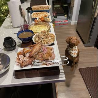 Feast for the Canine Friend