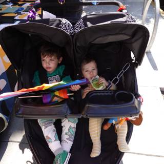 Stroller Adventures on a Sunny Day