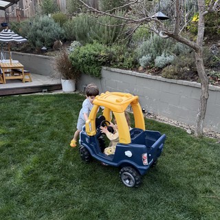 Childhood Play in a Backyard Garden Oasis