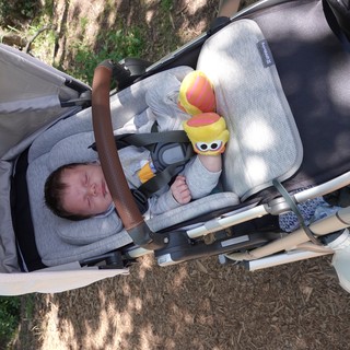 Newborn Baby Sleeping Peacefully in Stroller Outdoors