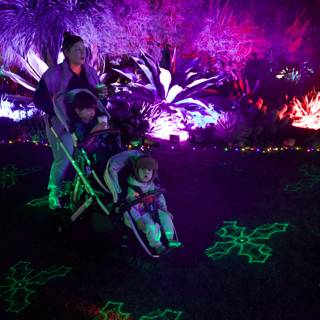 Enchanted Stroll Through the Garden of Lights