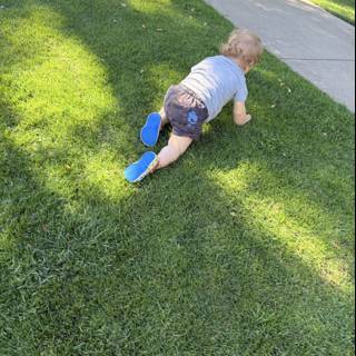 Little Explorer on the Move