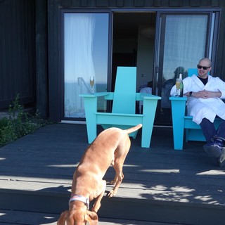 Man Relaxing with Dog on Modern Deck
