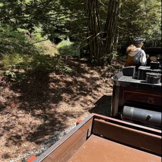 Journey Through the Redwoods