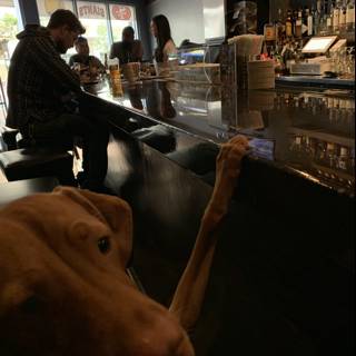 Bartender's Best Friend