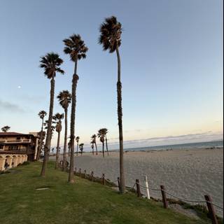Serenity by the Shore