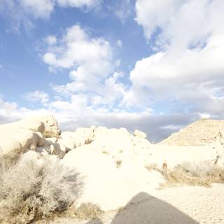 Desert Landscape with Rocks and Shrubs