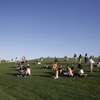 Chilled Vibes at Coachella 2024: A Sunny Afternoon on the Green
