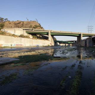 Debris-filled LA River after Heavy Rain