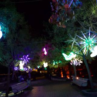Enchanted Night at Glowfari Oakland Zoo