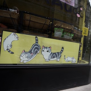 Cat Café Window Display in London Storefront