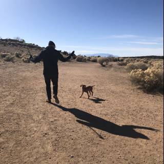 Desert Stroll with My Canine Companion