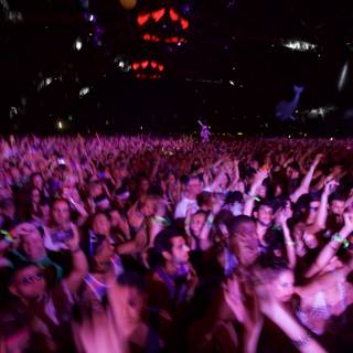 Energized Audience at Coachella Concert