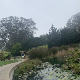 Serene Pond at de Young Museum