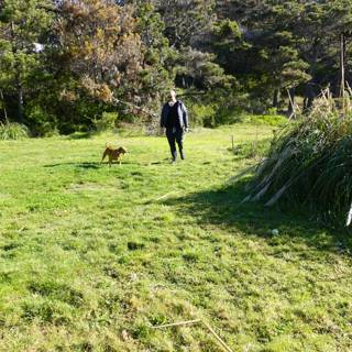 Man and his Canine Companion Enjoy a Walk in the Countryside