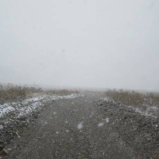 Winter's Gravel Path