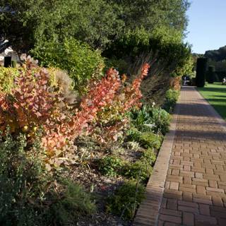 Tranquil Stroll Through Thistlewyck Gardens