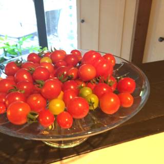 Freshly Picked Tomatoes from Altadena