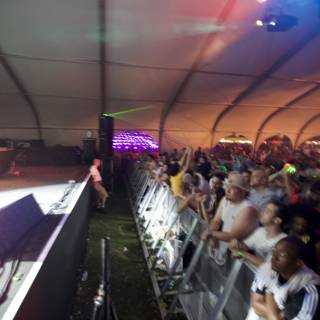 DJ Rocking Coachella Crowd