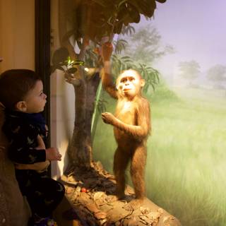 Fascinated Gaze at the Primate Exhibit