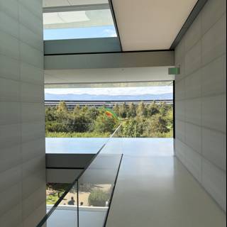 A Glimpse of Modern Design at Apple Park
