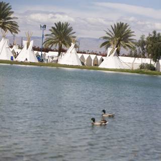 Ducks and Teepee at Coachella