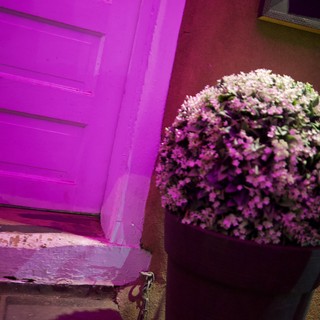 Vibrant Purple Door with Flowering Basket in Santa Fe