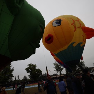 Giant Fish and Green Giant Kiss at Balloon Festival