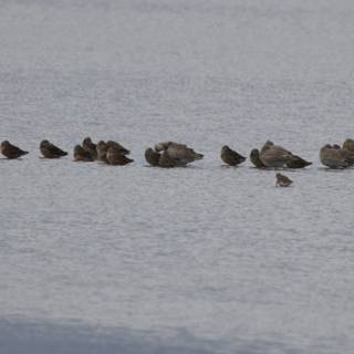 Tranquil Gatherings at San Pablo Bay