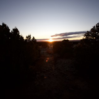 Sunset Path Through Desert Scrubland at Twilight