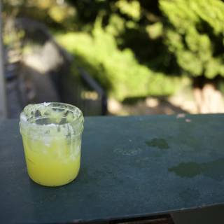 Zesty Afternoon Refreshment at SF Zoo, November 2023