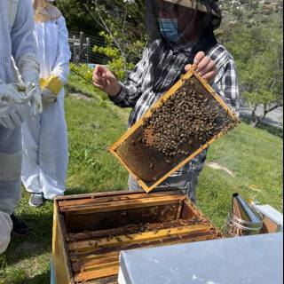 Beekeeper in Carmel