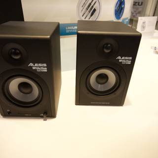 Amplify Your Sound with These Speakers