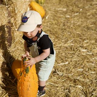 Fall Harvest - Pumpkin Picking Day