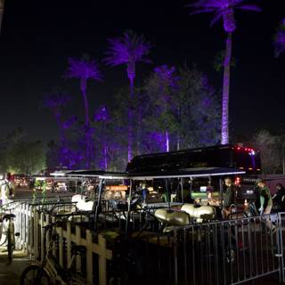Nighttime Hustle at Coachella 2024