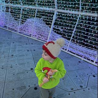 Winter Wonder at PayPal Park